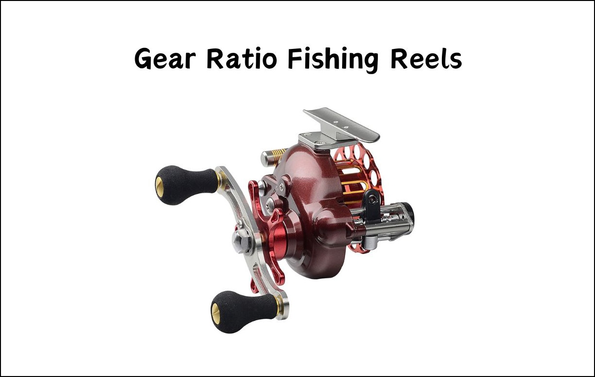 Fishing Reel Gear Ratio