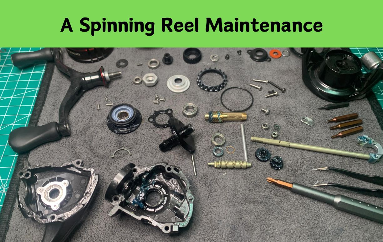 A Spinning Reel Maintenance