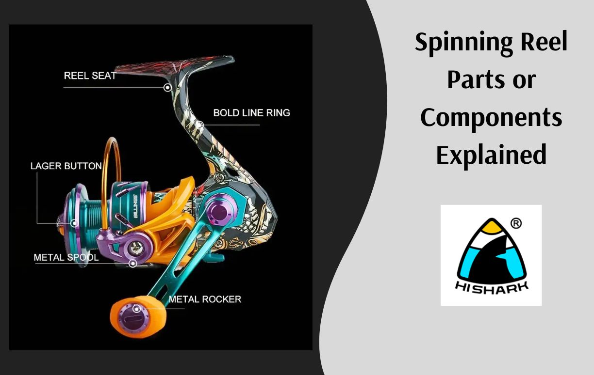 Spinning Reel Parts