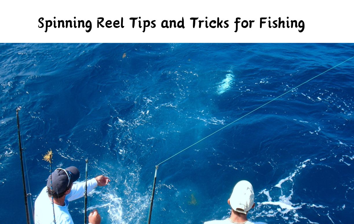 Spinning Reel Tips