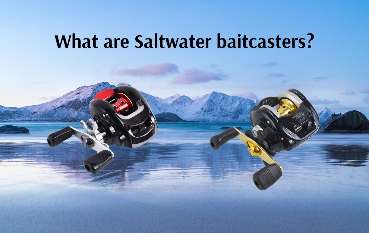 What are Saltwater baitcasters