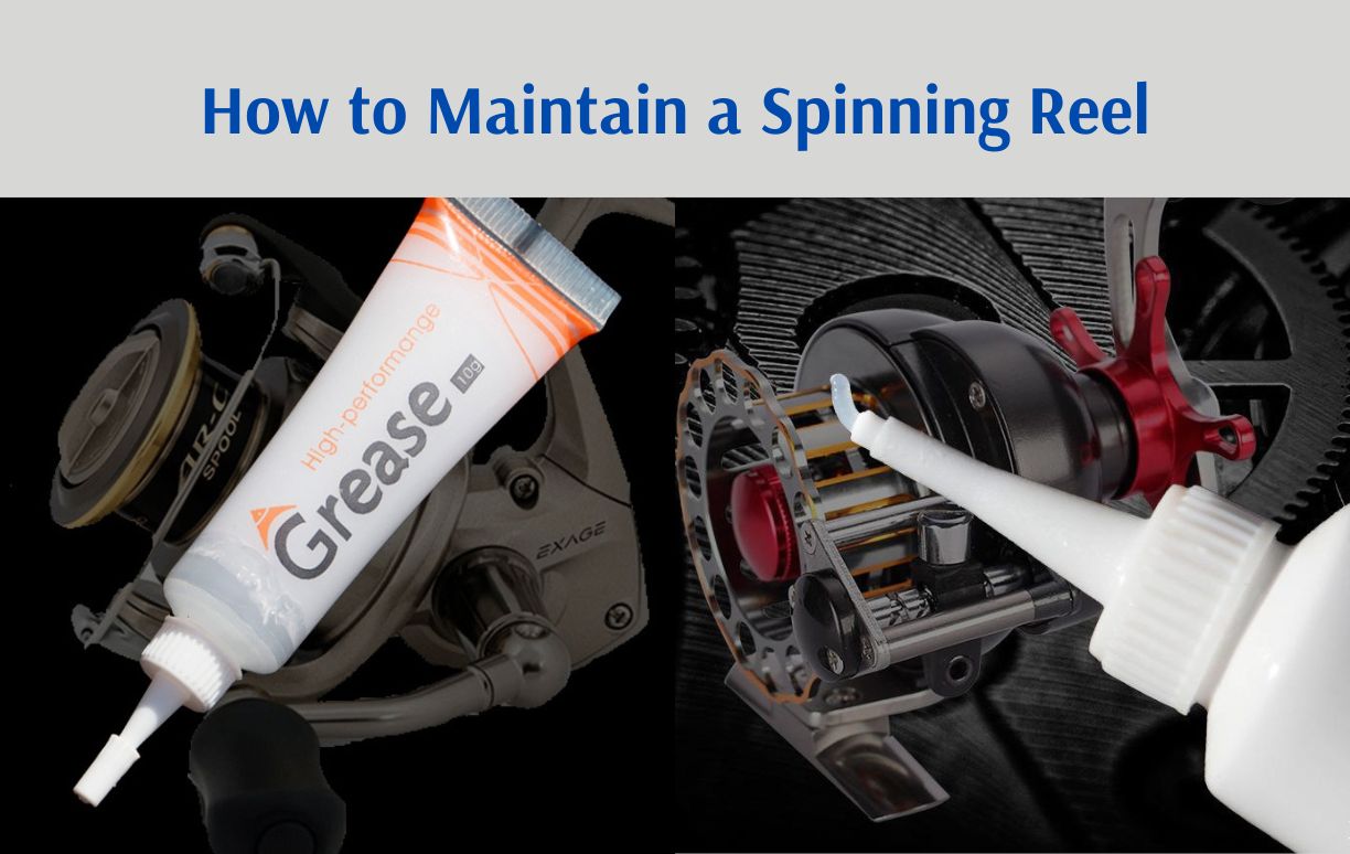 how to maintain a spinning reel