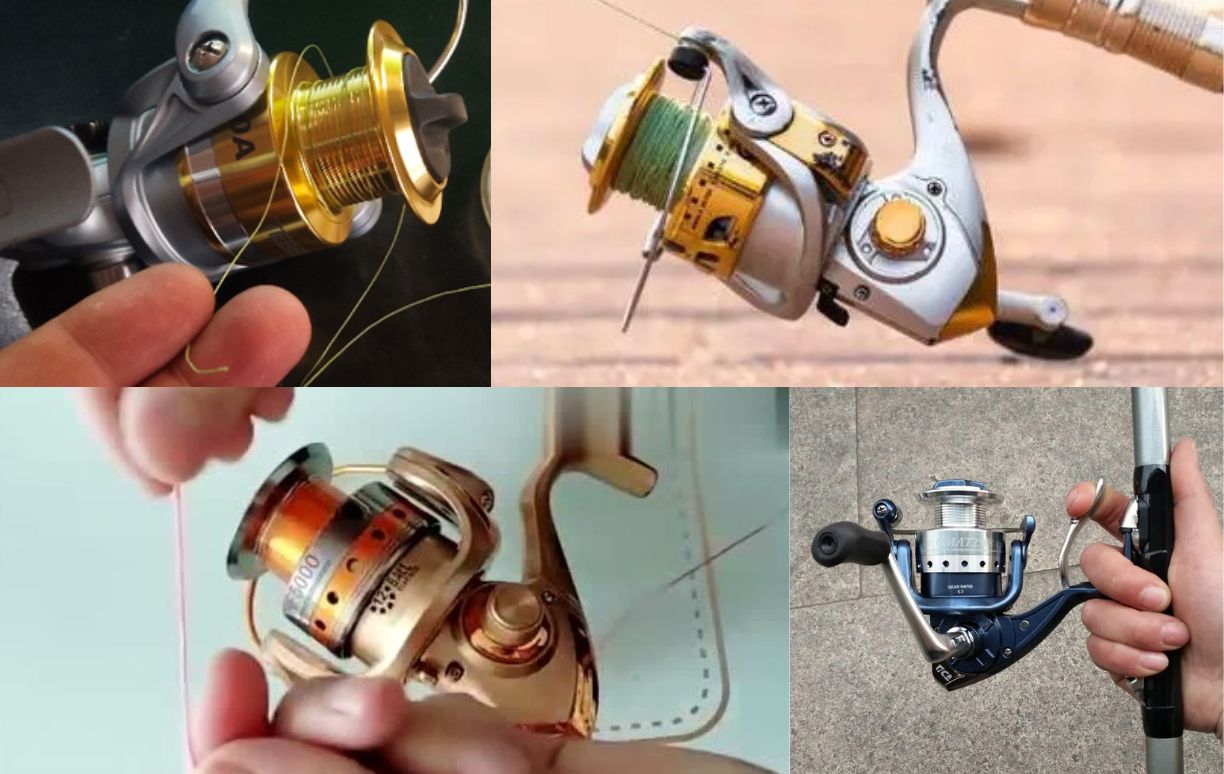 spool a spinning reel