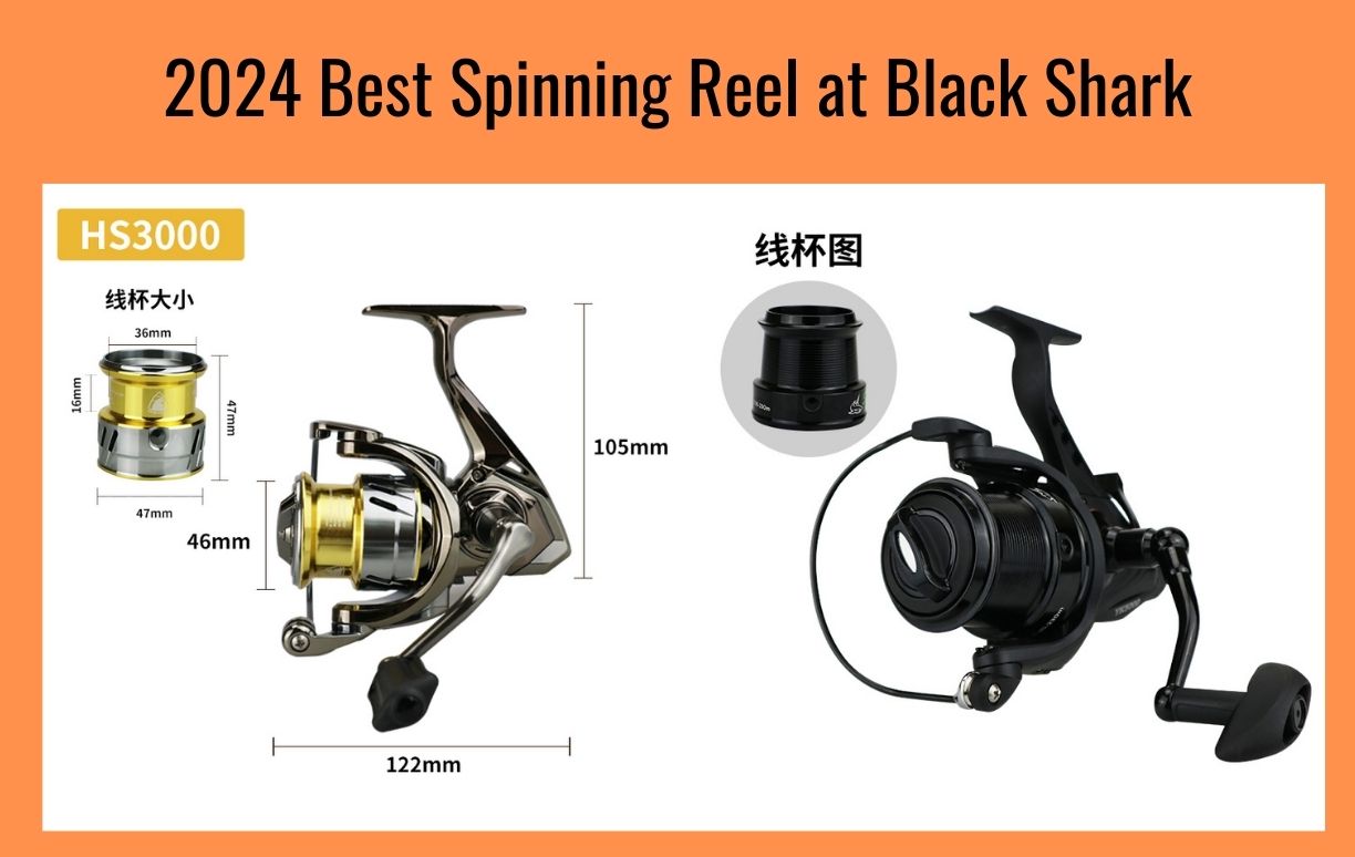 2024 best spinning reels