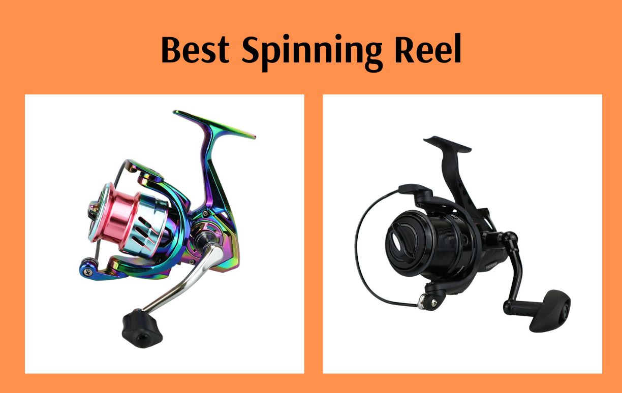 Best Spinning Reel