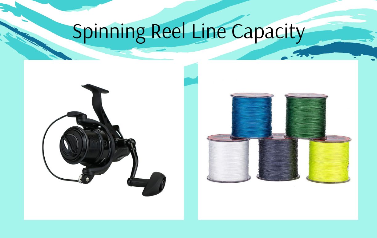 spinning reel line capacity