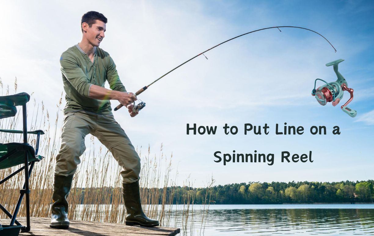 spinning reel line